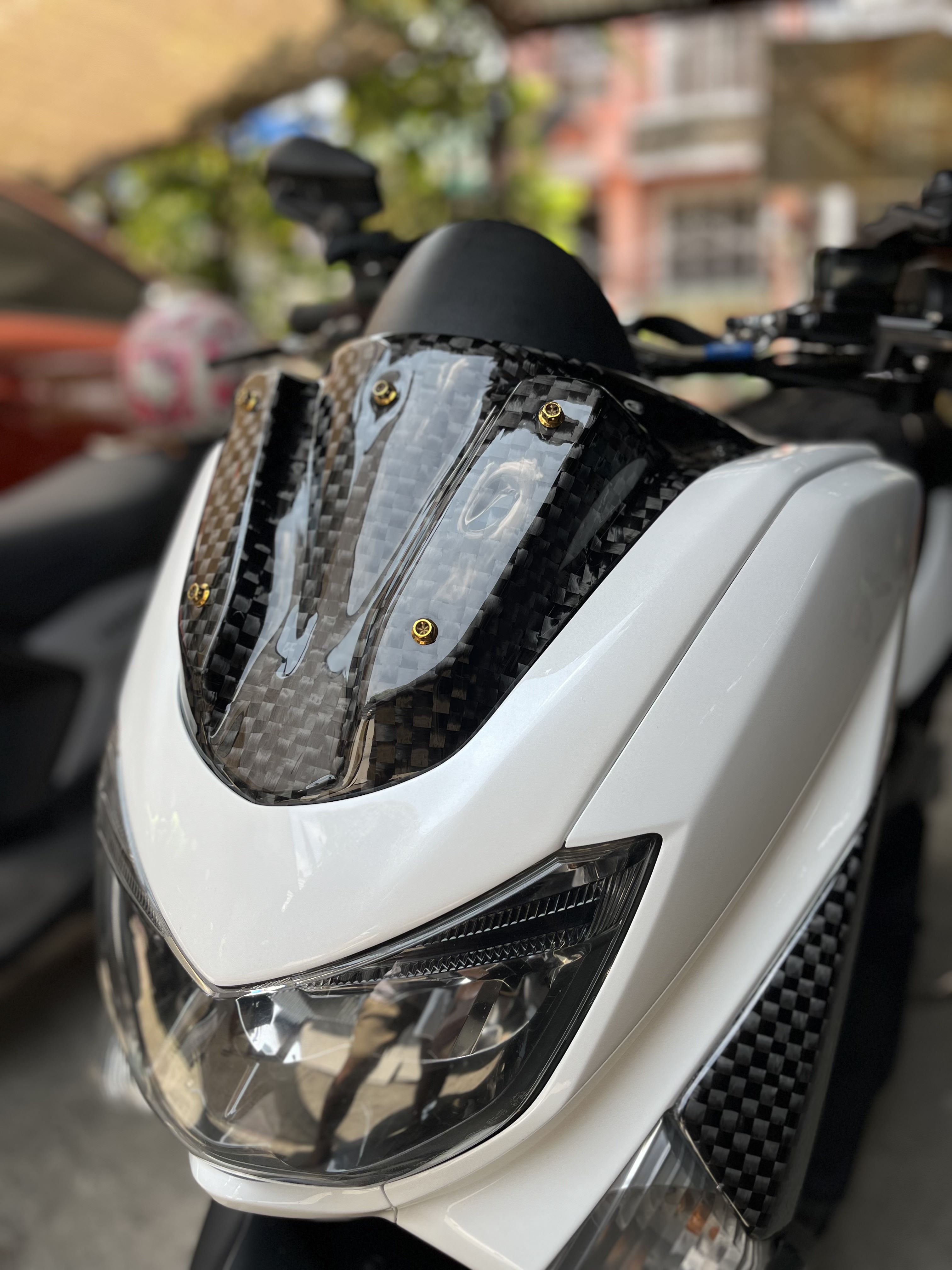 Carbon Windshield